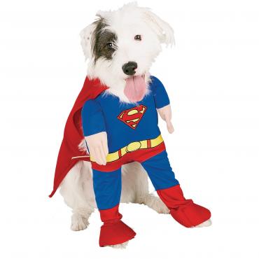 dog　コスチューム　スーパーマン　XL